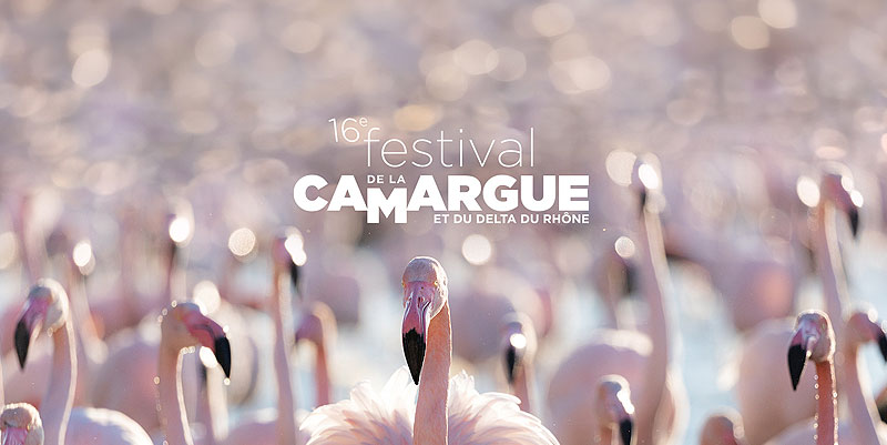 Le festival de la Camargue, 16e édition
