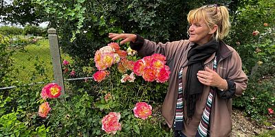 La Roseraie de Morailles : un jardin unique près d'Orléans