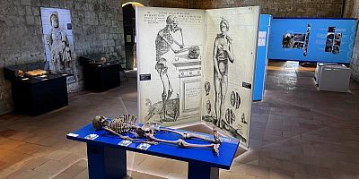 ''Soigner corps et âmes'' : une exposition immersive au prieuré Saint-Cosme près de Tours