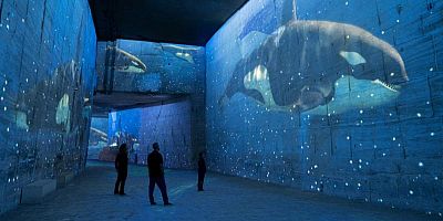 Aux Baux-de-Provence, les Carrières des Lumières plongent les visiteurs dans l'océan