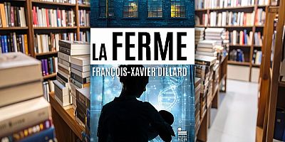 François-Xavier Dillard : "On vit dans un monde de fous et on continue à scroller"