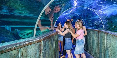 Tunnel de l'Aquarium de Touraine