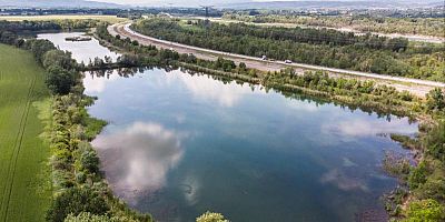 Comment la nature reprend ses droits après la construction de l’autoroute ?