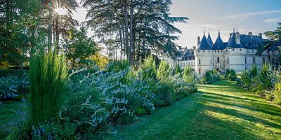 Chaumont-sur-Loire : Le 7ᵉ art s’invite au festival international des jardins