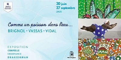 Fraîcheur à Draguignan avec l'expo "Comme un poisson dans l'eau''
