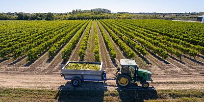 Saint-Denis d’Oléron célèbre les vendanges face à l’océan