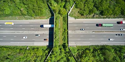 Franchir l’autoroute sans danger grâce aux écoponts