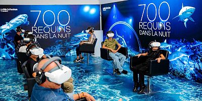 Plongez au cœur d'une meute de 700 requins à la Cité de l'Océan.