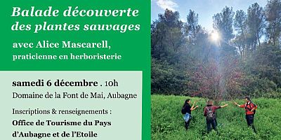 2h30 pour découvrir les plantes sauvages de la garrigue et du bord des chemins.