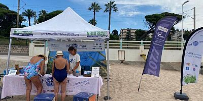 Inf'eau Mer : animations estivales sur la biodiversité en Méditerranée