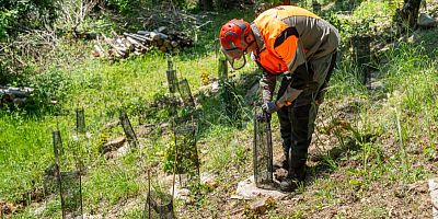 Les solutions pour limiter et compenser l’impact environnemental des chantiers