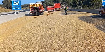 Les céréales rependues sur l'A61 près de Narbonne
