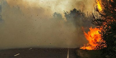 Mégots sur l’autoroute : prévention et solutions envisagées