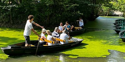 En barque dans le Marais Poitevin, immersion dans un paysage unique