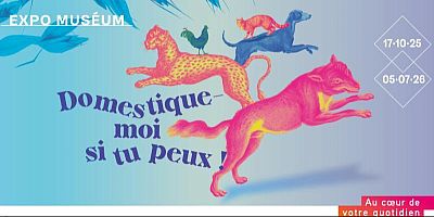 "Domestique moi si tu peux" l'exposition qui interroge nos relations au vivant au Muséum de Toulouse