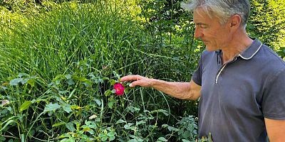 Les jardins de Roquelin : une balade fleurie au bord de la Loire