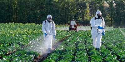 Résidus de pesticides : le bio en tête, les produits français mieux placés