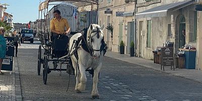 Brouage : reprise des visites guidées dans l'ancienne place forte du littoral charentais