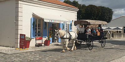 La citadelle de Brouage au rythme des sabots