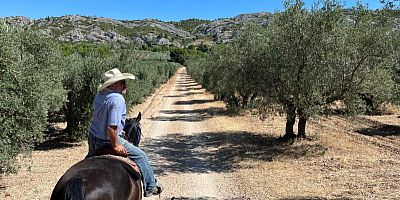 Randonnée à cheval près de Saint-Rémy-de-Provence
