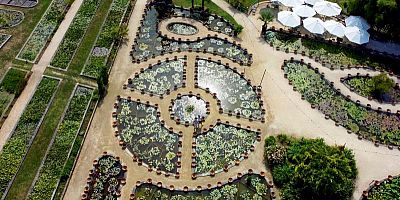 Le Festival Signature célèbre les arts dans un jardin aquatique du Lot-et-Garonne