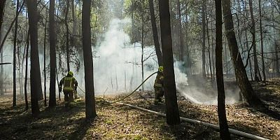 Incendie à Fontainebleau : comment éviter la coupure de l'autoroute A6