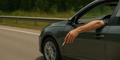 Stop aux mégots jetés des voitures. 90% des incendies de végétation sont d'origine humaine