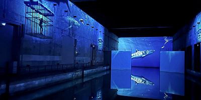 Une plongée artistique dans les océans à Bordeaux