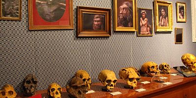 Bienvenue chez les Préhistos : nouvelle expo immersive à Cap Sciences Bordeaux