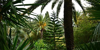 Jardin Val-Rahmeh