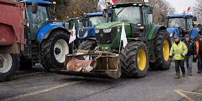 Manifestation d'agriculteurs avec des tracteurs - Illustration