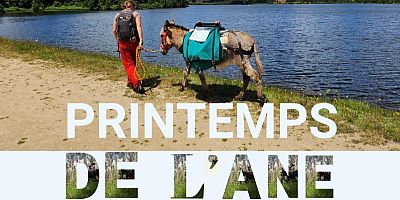 Une randonnée avec des ânes dans la vallée de la Drôme, à Die