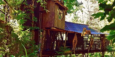Une maison dans les arbres.