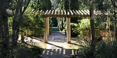 Les jardins du Domaine du Rayol : un havre de paix près de Saint-Tropez