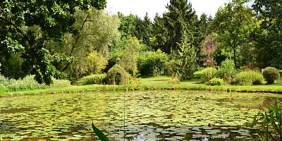 Les "Rendez-vous aux jardins" nous emmènent à l'Arboretum Al Gaulhia, près de Brive